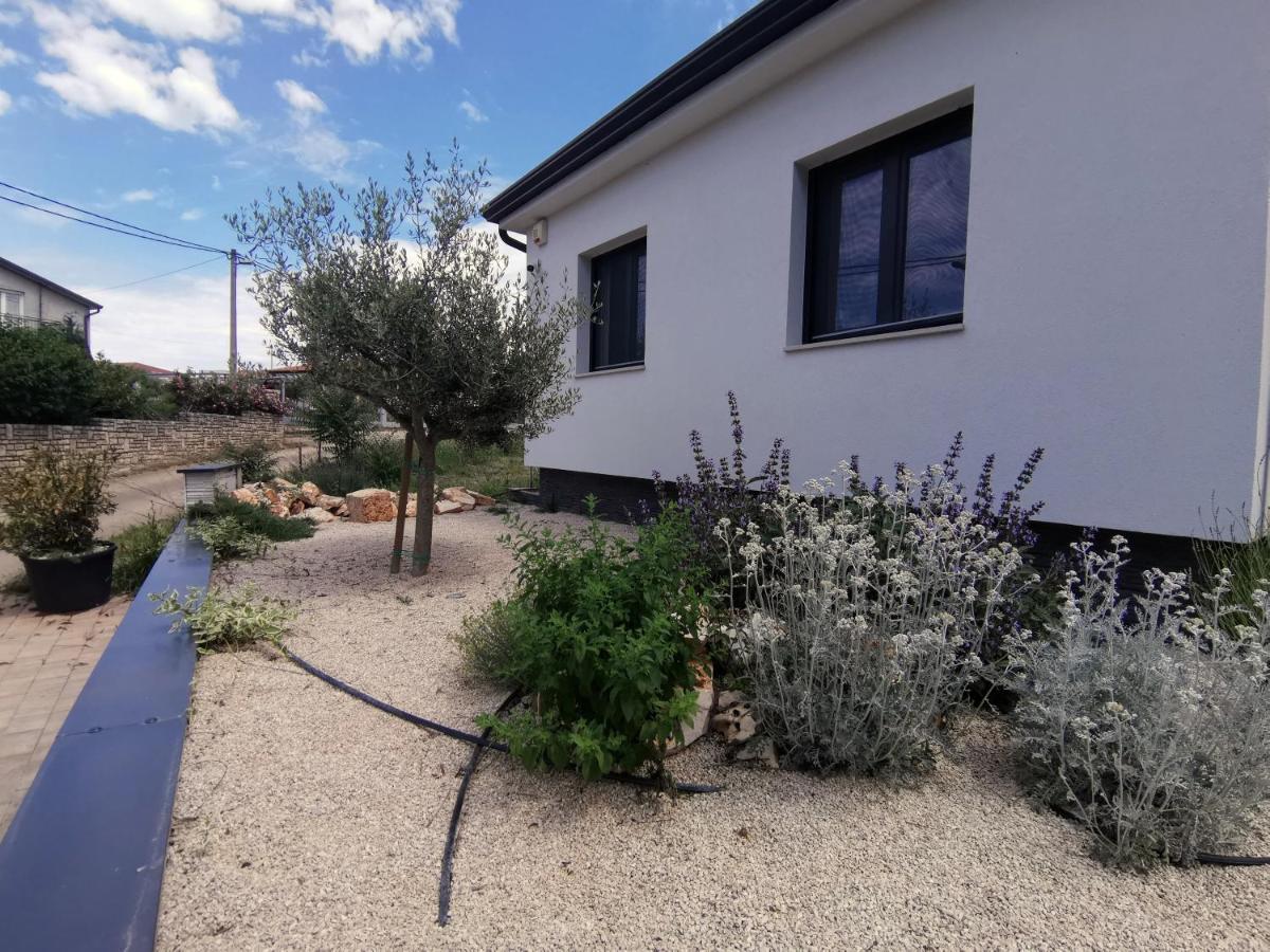 Villa Oliva Umag Eksteriør billede